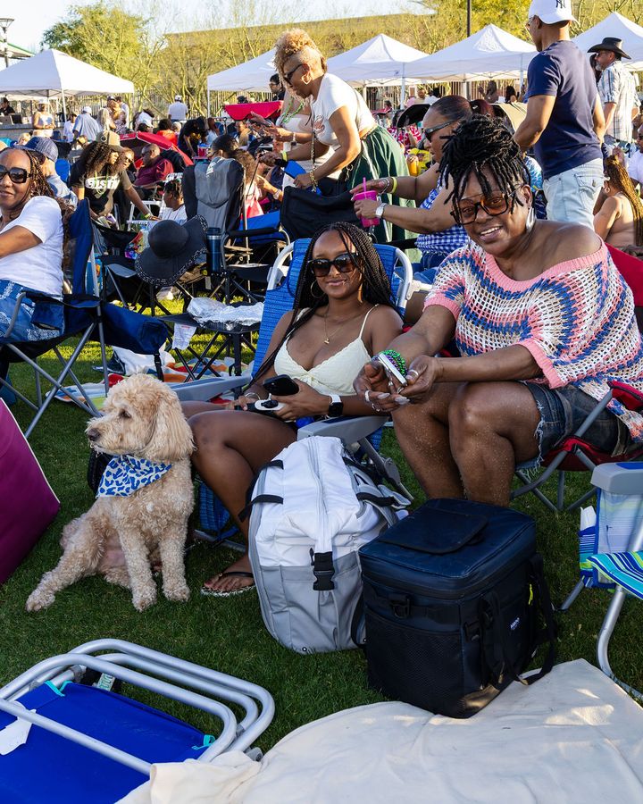 A small dog on the lawn among the crowd