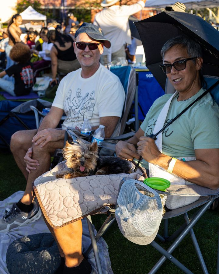 Guests relaxing in chairs on the lawn