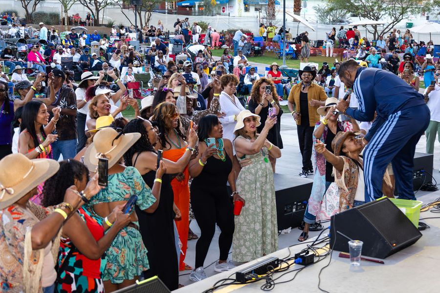 The festival crowd seen from the stage