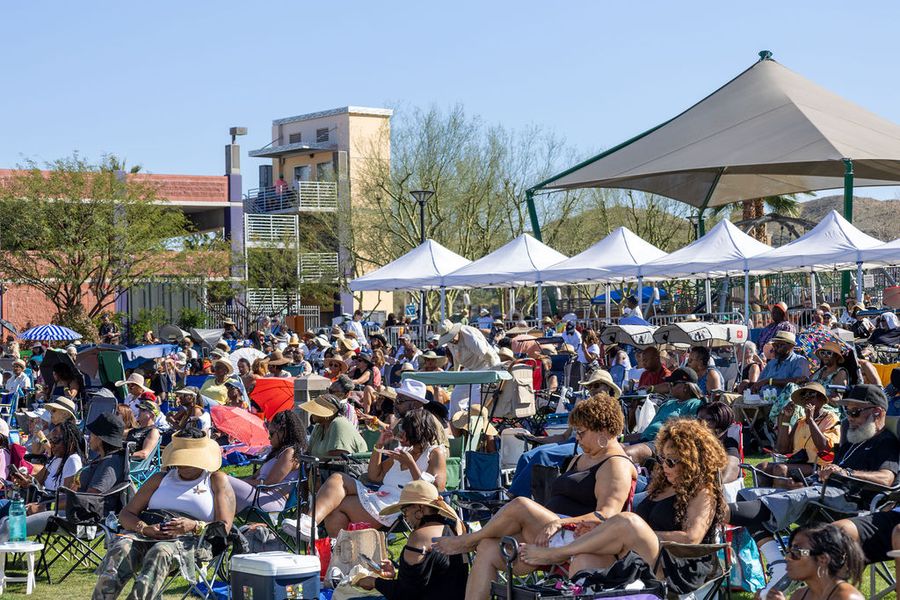 The festival crowd filling the lawn